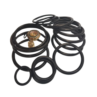 90 Shore A O-Ring Kit ile AP Kompakt Yapılandırma Araç Sızıntı-Kanıtlı Mühürleri Endüstriyel için Gaskets