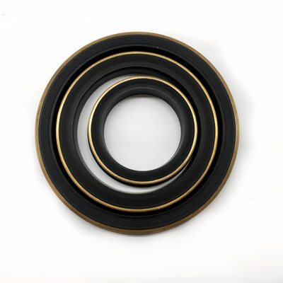 OEM ODM Değiştirilebilir Siyah HNBR 2 Inch Hammer Union Lip Seal