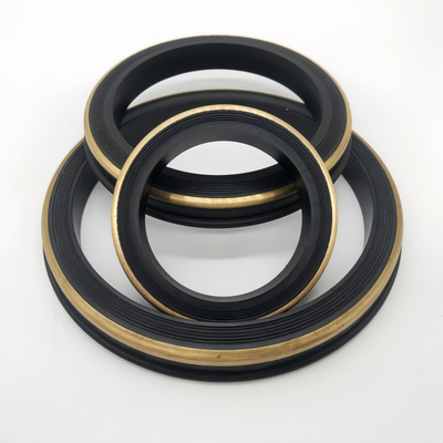 OEM ODM Değiştirilebilir Siyah HNBR 2 Inch Hammer Union Lip Seal