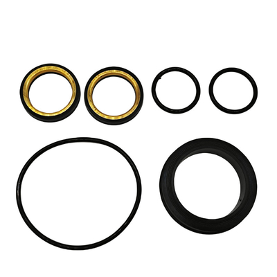 İyi Yağa Direnci Nbr Kauçuk 4 Inch 602 Düşük Dönerli Fiş Valf Yapıştırma Aracı için Yumuşak Mühürlü Kit
