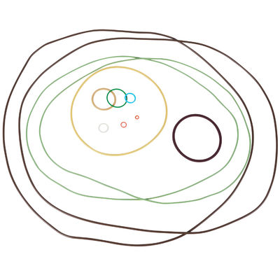 O-ring Üreticisi Premium Yağa Dayanıklı AS568 Hassas FFKM Kauçuk O-Ringler Doğal Gaz İçin