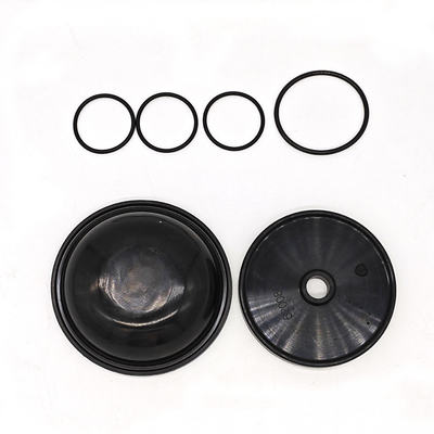 Ar30/40 pompaları için Blueflex Diyafragma Kits