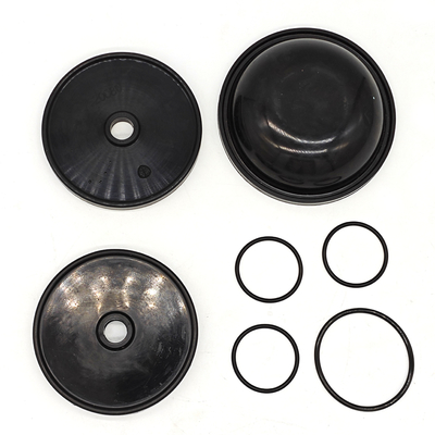 Ar30/40 pompaları için Blueflex Diyafragma Kits