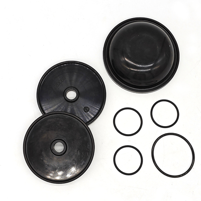 Ar30/40 pompaları için Blueflex Diyafragma Kits