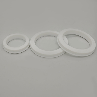 Yüksek basınçlı boru bağlantıları için FKM PTFE Hammer Union Seal