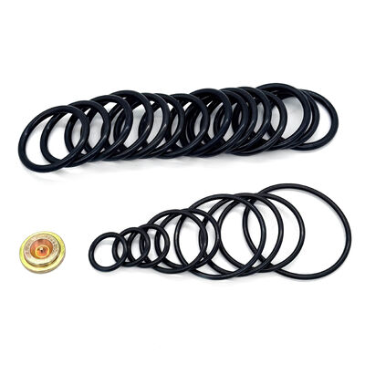 15#10 Stil Basınç Ayarlama Aracı için,000 PSI Ambalaj Kiti - Kablolu Adaptör Kiti ile Ham Petrol Uyumlu Düzeltme Kiti (WAK)