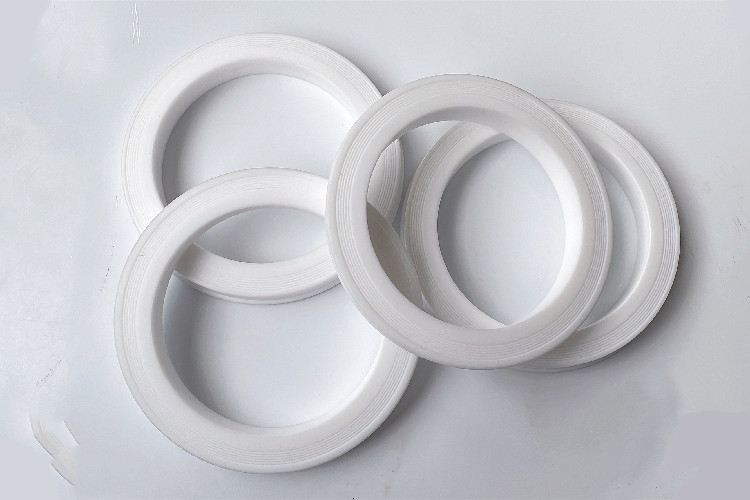Özel malzeme Standart Boyut 2&quot;3&quot;4&quot; PTFE Hammer Union Lip Seal Ring