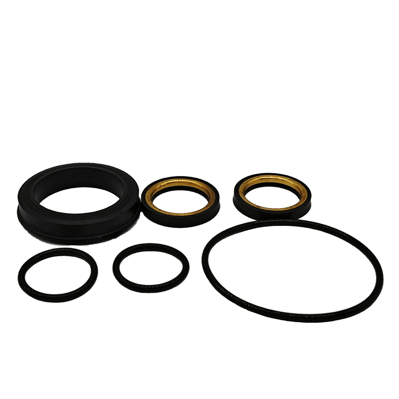 Üstün Performans 1" 2" 3" Bakır veya SS Arka Taraf NBR HNBR FKM Plug Valve Seals